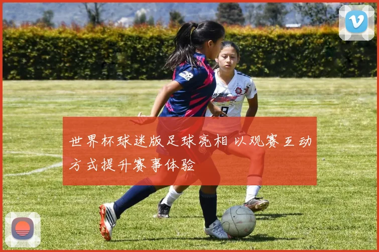 世界杯球迷版足球亮相 以观赛互动方式提升赛事体验