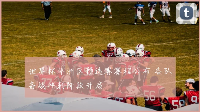 世界杯非洲区预选赛赛程公布 各队备战冲刺阶段开启
