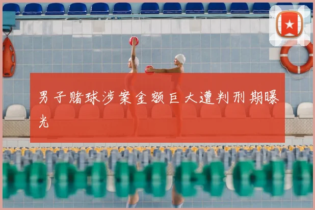 男子赌球涉案金额巨大遭判刑期曝光