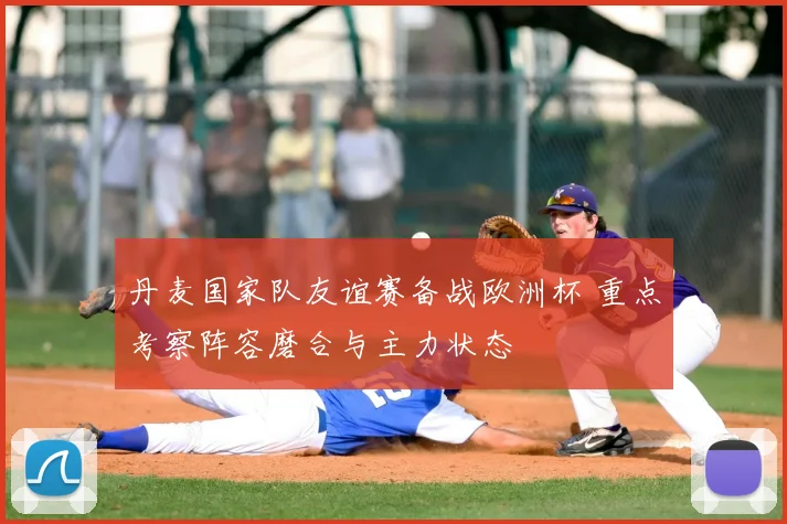 丹麦国家队友谊赛备战欧洲杯 重点考察阵容磨合与主力状态