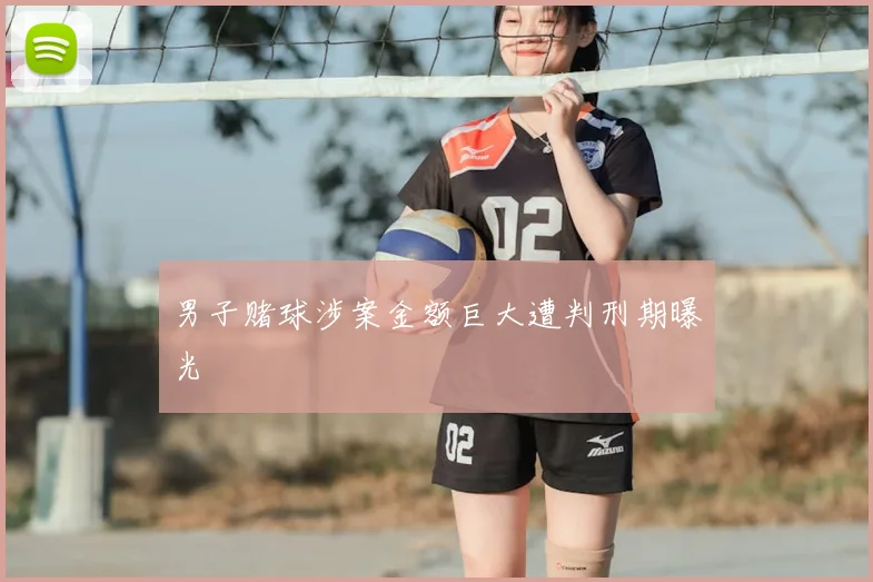 男子赌球涉案金额巨大遭判刑期曝光